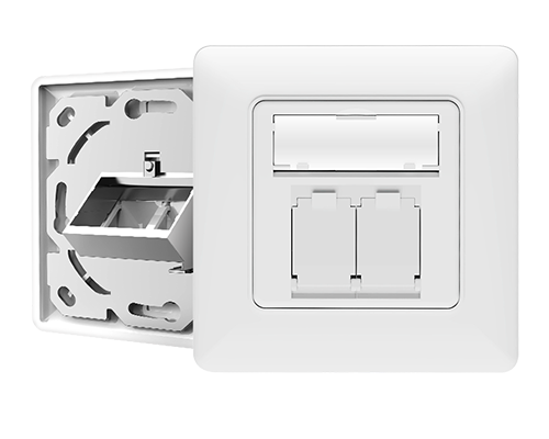Dual Port-Network RJ45 Faceplate