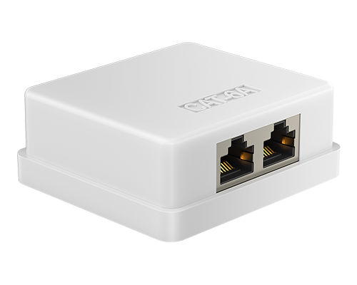 Dual Port-FTP Surface Mount Box