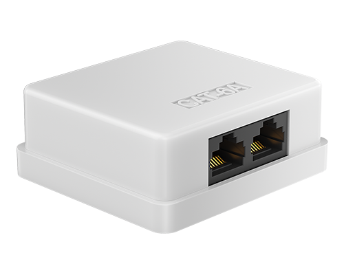 Dual Port-UTP Surface Mount Box